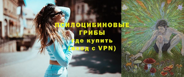 гашик Алзамай