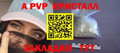 гашик Моздок