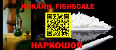 гашик Моздок