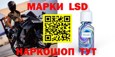 гашик Моздок