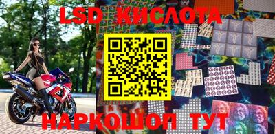 гашик Моздок