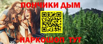 гашик Моздок