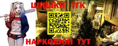 гашик Моздок