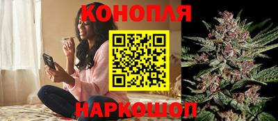 гашик Моздок