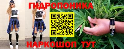 гашик Моздок