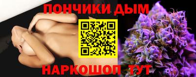 гашик Моздок