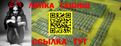 гашик Моздок