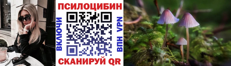 Псилоцибиновые грибы прущие грибы  Ростов-на-Дону 