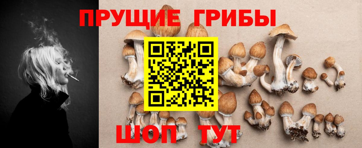 Ростов-на-Дону  Галлюциногенные грибы прущие грибы  продажа наркотиков  Вход с VPN 